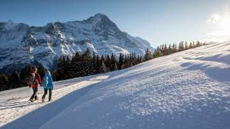 Winter hikes